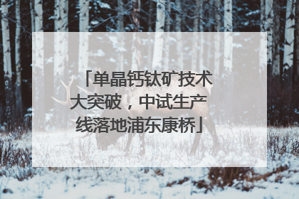 单晶钙钛矿技术大突破，中试生产线落地浦东康桥