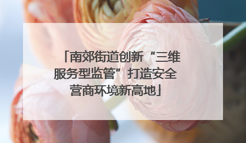 南郊街道创新“三维服务型监管”打造安全营商环境新高地
