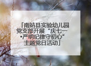 南靖县实验幼儿园党支部开展“庆七一•严明纪律守初心”主题党日活动