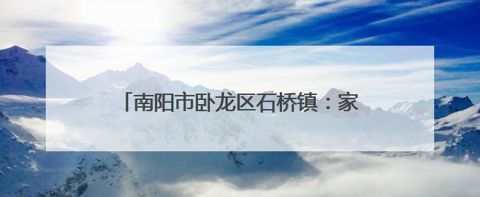 南阳市卧龙区石桥镇：家校联动共筑平安上学路