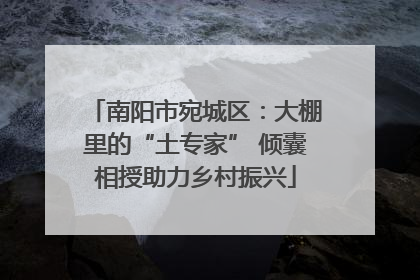 南阳市宛城区：大棚里的“土专家” 倾囊相授助力乡村振兴