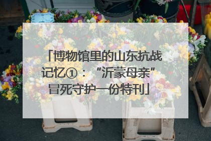 博物馆里的山东抗战记忆①：“沂蒙母亲”冒死守护一份特刊
