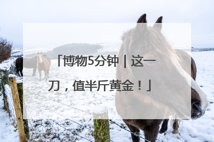 博物5分钟｜这一刀，值半斤黄金！