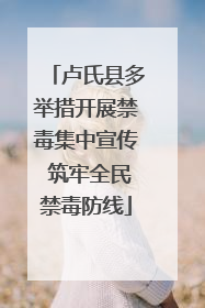 卢氏县多举措开展禁毒集中宣传 筑牢全民禁毒防线