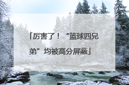 厉害了！“篮球四兄弟”均被高分屏蔽