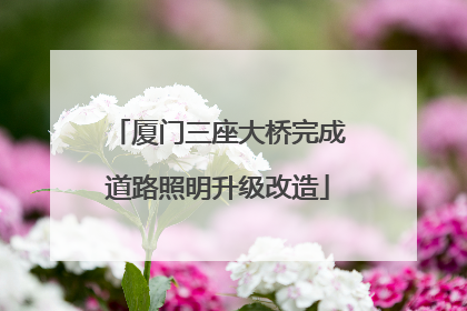 厦门三座大桥完成道路照明升级改造