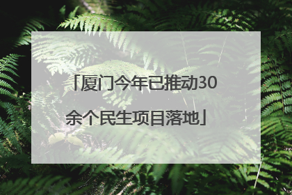 厦门今年已推动30余个民生项目落地