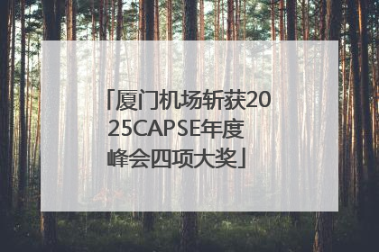 厦门机场斩获2025CAPSE年度峰会四项大奖