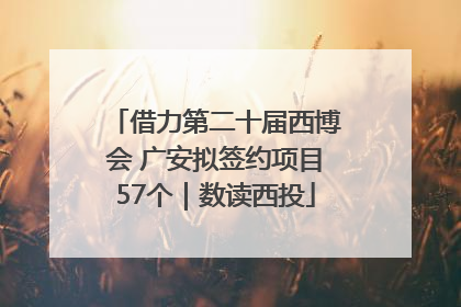 借力第二十届西博会 广安拟签约项目57个｜数读西投