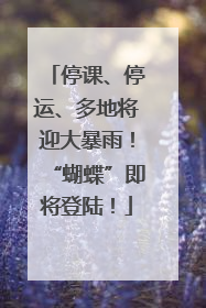 停课、停运、多地将迎大暴雨！“蝴蝶”即将登陆！