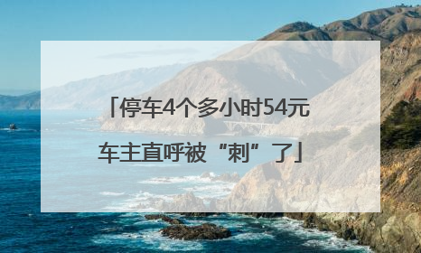 停车4个多小时54元 车主直呼被“刺”了