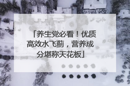 养生党必看！优质高效水飞蓟，营养成分堪称天花板