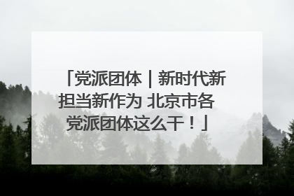 党派团体｜新时代新担当新作为 北京市各党派团体这么干！