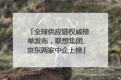 全球供应链权威榜单发布，联想集团、京东两家中企上榜