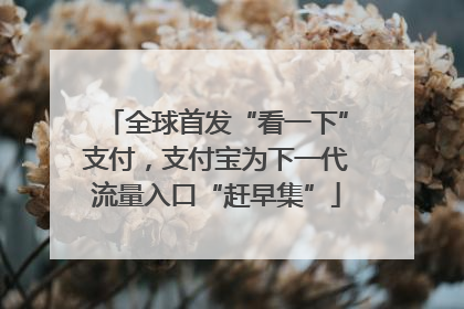 全球首发“看一下”支付，支付宝为下一代流量入口“赶早集”