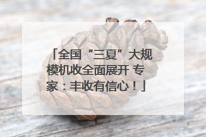 全国“三夏”大规模机收全面展开 专家：丰收有信心！