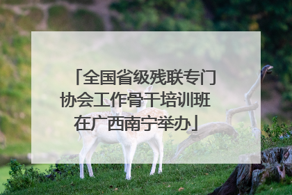 全国省级残联专门协会工作骨干培训班在广西南宁举办