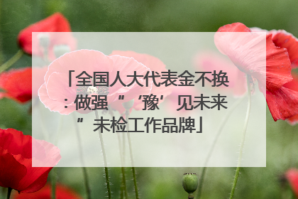 全国人大代表金不换：做强“‘豫’见未来”未检工作品牌