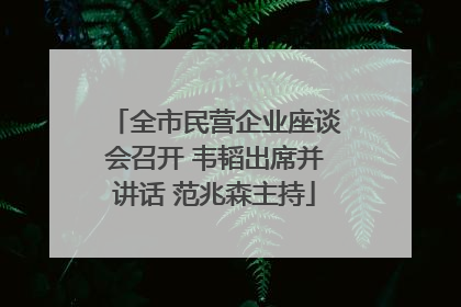 全市民营企业座谈会召开 韦韬出席并讲话 范兆森主持