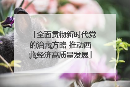 全面贯彻新时代党的治藏方略 推动西藏经济高质量发展