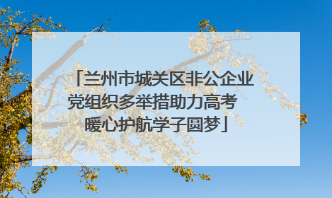 兰州市城关区非公企业党组织多举措助力高考 暖心护航学子圆梦