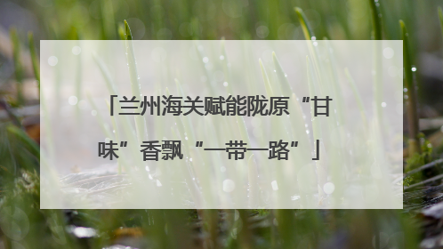 兰州海关赋能陇原“甘味”香飘“一带一路”