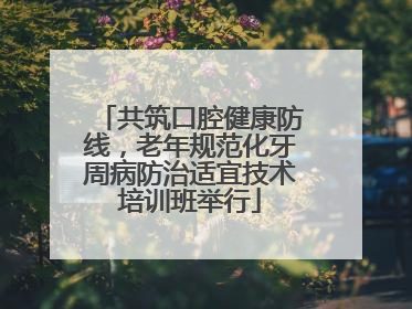 共筑口腔健康防线，老年规范化牙周病防治适宜技术培训班举行