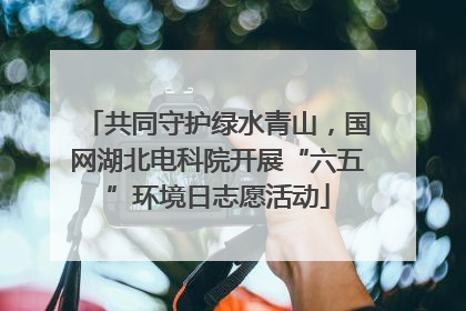 共同守护绿水青山，国网湖北电科院开展“六五”环境日志愿活动
