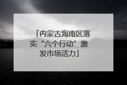 内蒙古海南区落实“六个行动”激发市场活力
