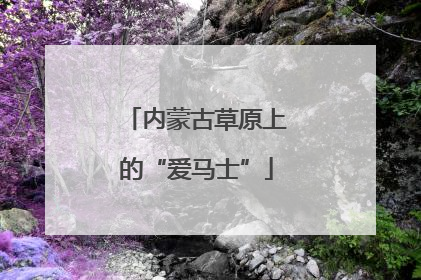 内蒙古草原上的“爱马士”
