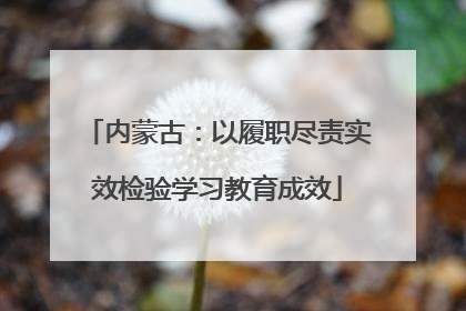 内蒙古：以履职尽责实效检验学习教育成效