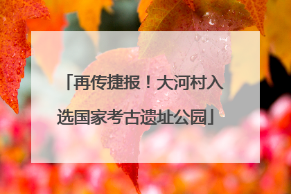 再传捷报！大河村入选国家考古遗址公园