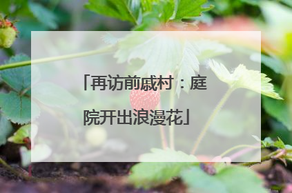 再访前戚村：庭院开出浪漫花