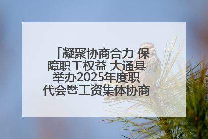 凝聚协商合力 保障职工权益 大通县举办2025年度职代会暨工资集体协商现场观摩交流活动