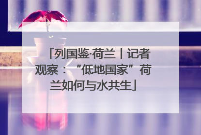 列国鉴·荷兰丨记者观察：“低地国家”荷兰如何与水共生