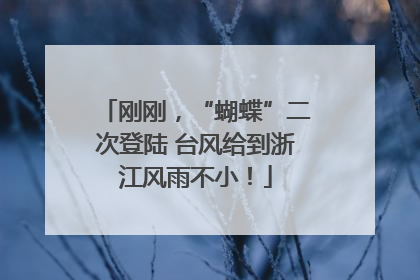 刚刚，“蝴蝶”二次登陆 台风给到浙江风雨不小！