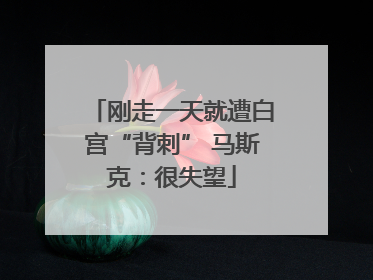 刚走一天就遭白宫“背刺” 马斯克：很失望