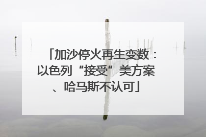加沙停火再生变数：以色列“接受”美方案、哈马斯不认可