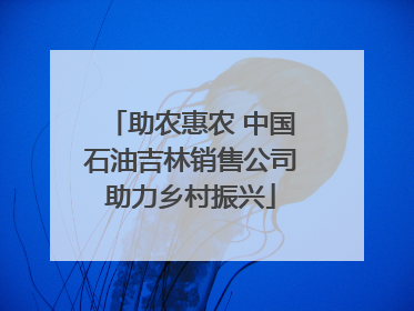 助农惠农 中国石油吉林销售公司助力乡村振兴