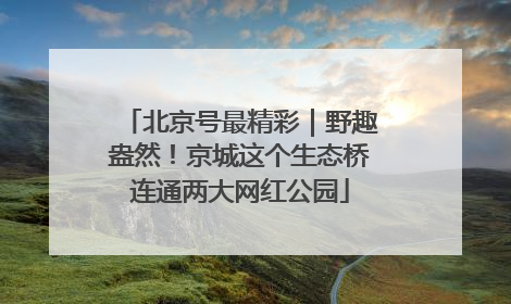 北京号最精彩｜野趣盎然！京城这个生态桥连通两大网红公园