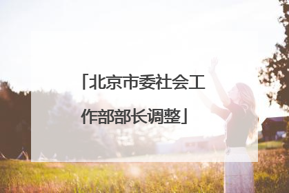 北京市委社会工作部部长调整