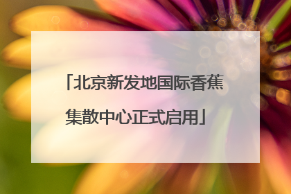 北京新发地国际香蕉集散中心正式启用