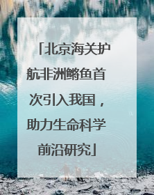 北京海关护航非洲鳉鱼首次引入我国，助力生命科学前沿研究