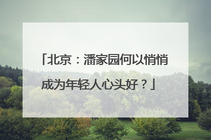 北京：潘家园何以悄悄成为年轻人心头好？
