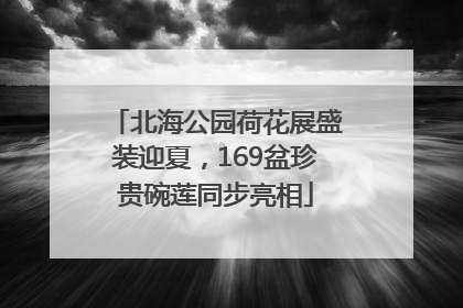 北海公园荷花展盛装迎夏，169盆珍贵碗莲同步亮相