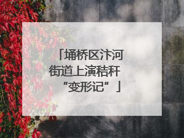 埇桥区汴河街道上演秸秆“变形记”