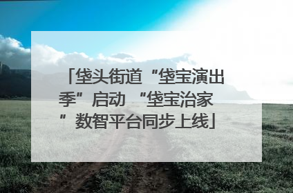 垡头街道“垡宝演出季”启动 “垡宝治家”数智平台同步上线