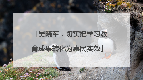吴晓军：切实把学习教育成果转化为惠民实效