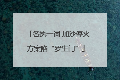 各执一词 加沙停火方案陷“罗生门”