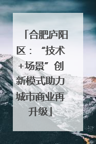 合肥庐阳区：“技术+场景”创新模式助力城市商业再升级